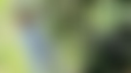 からだのサビ予防に!ブルーベリー