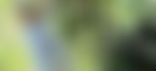 からだのサビ予防に!ブルーベリー