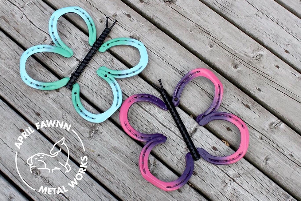 Thumbnail: Horseshoe Butterfly