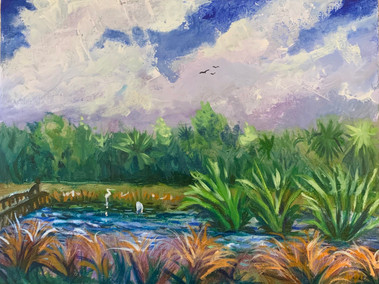 9x12 Florida Reserve $375.jpeg
