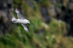 ça plane pour moi....