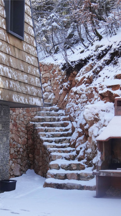 Eksterijer planinske kuće od kamena i drveta sa roštiljem i terasom – AJ Studi