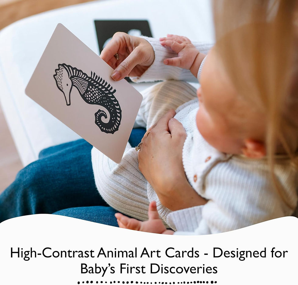 Wee Gallery Art Cards for Baby - Black & White Animals Singapore Baby Essentials Shop Mellow