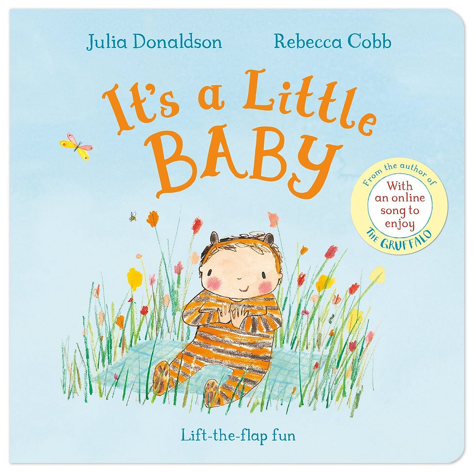 It's a Little Baby Book by Julia Donaldson
