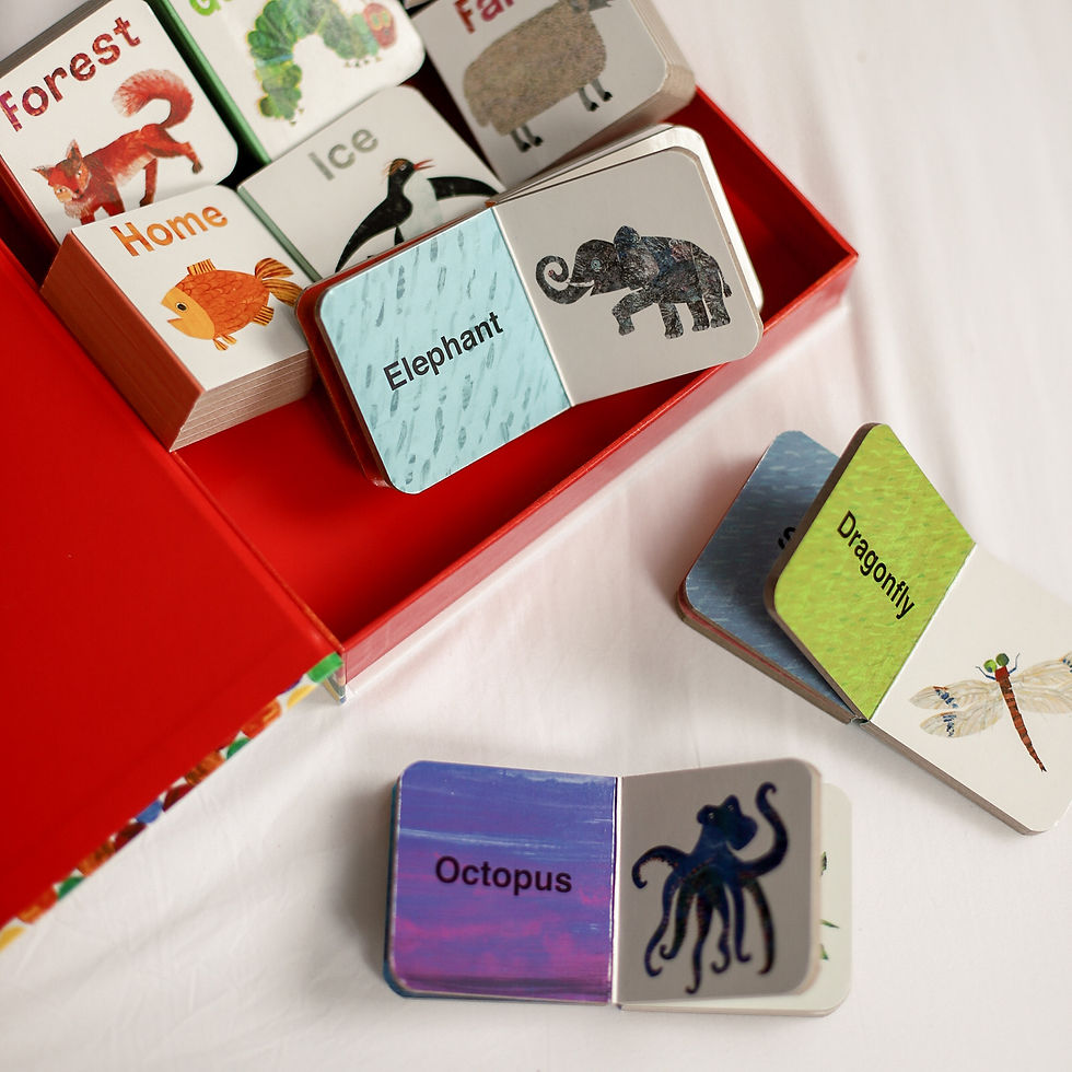 Thumbnail: Eric Carle: A Big Box of Little Books