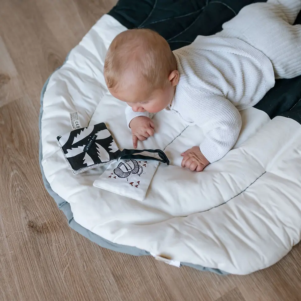 Wee Gallery Crinkle Pages Stroller Toy - Ocean Mellow Baby Singapore Shop