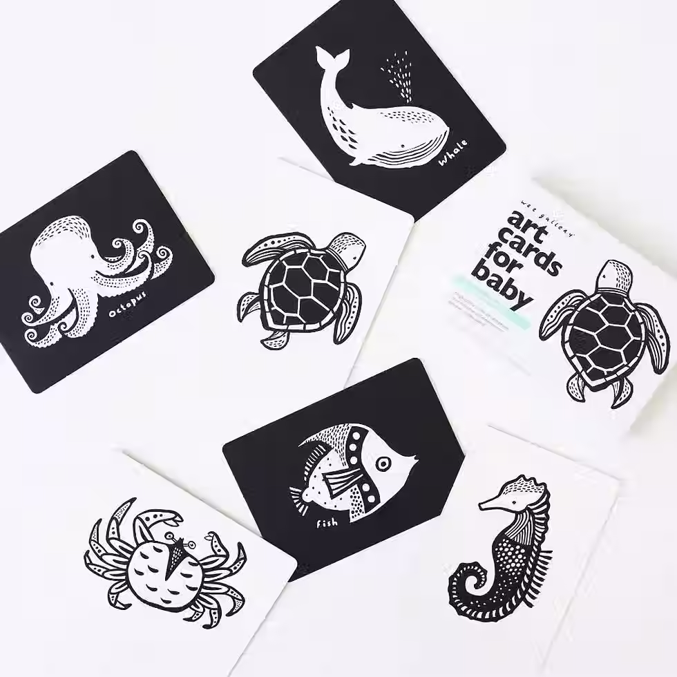 Wee Gallery Ocean Art Cards