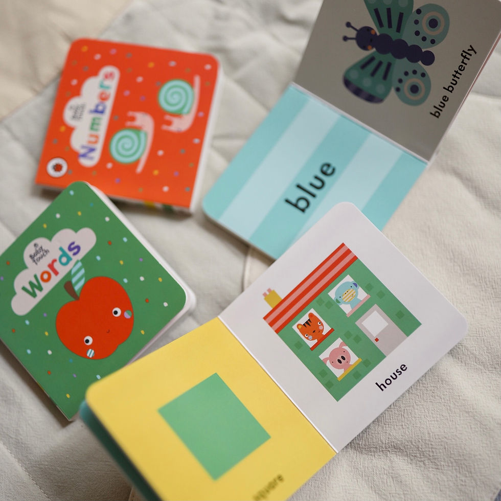 Thumbnail: Baby Touch: Little Library