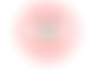 3 Fun Freebies to Find at the Magic Kingdom