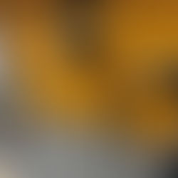 100 portraits professionnels en 5h30, les coulisses.