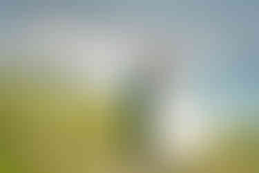 photographe lavaux