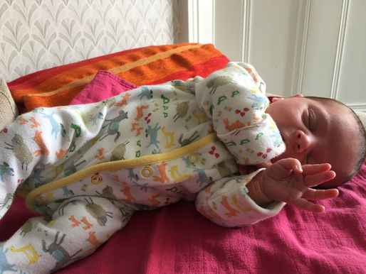 A FORTNIGHT OF FIRST