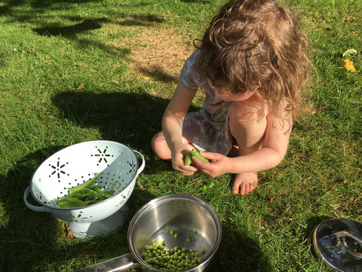 PEAS