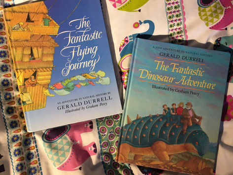 BEAUTIFUL (FANTASTIC) BOOKS