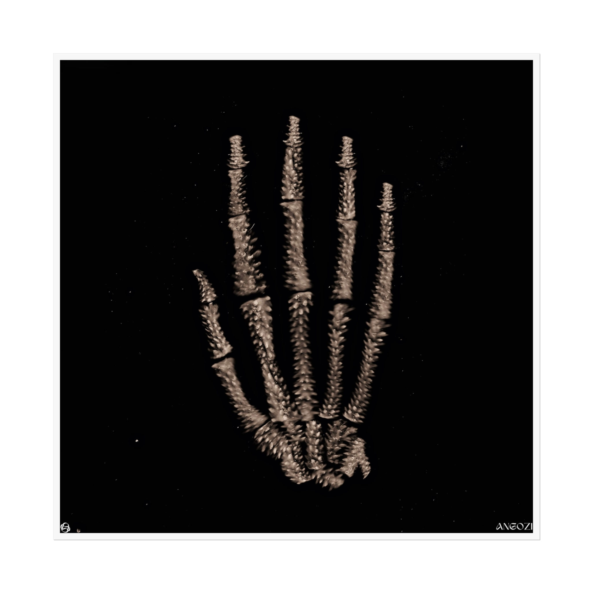 Coral Remains I — Fine Art Poster