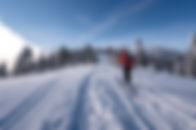 Sports d'hiver Ski de Fond