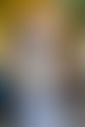 The Buttons Bank of Saint Francisville