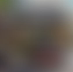 Nissan Mexicana cierra agosto con siete modelos líderes en su segmento