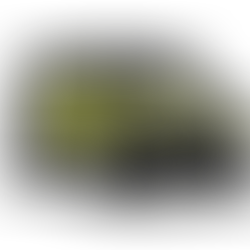 ¡La espera terminó! Llega a México SUZUKI JIMNY de 5 Puertas