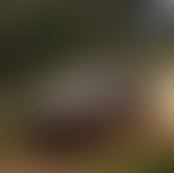 Tacoma HEV 2024: el Décimo Híbrido de Toyota en México