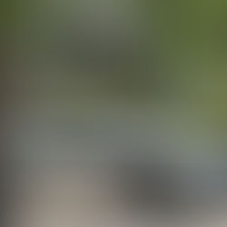 Toyota Prius 2023: El auto ideal para el día a día