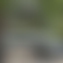 Toyota Prius 2023: El auto ideal para el día a día