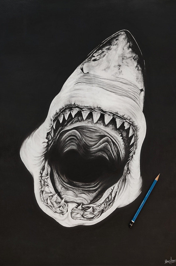 Jaws pencil.jpg