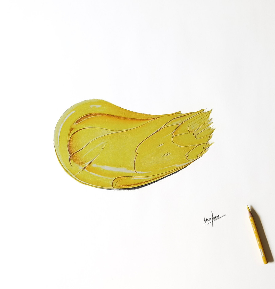 Yellow Paint blob pencil (1).jpg