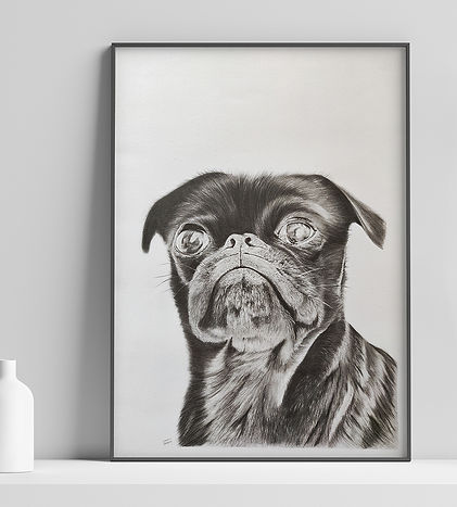 Pug-1.jpg