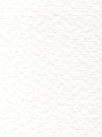 Paper Texture.png