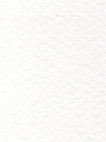 Paper Texture.png