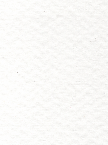 Paper Texture.png