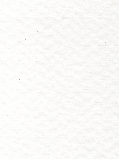 Paper Texture.png
