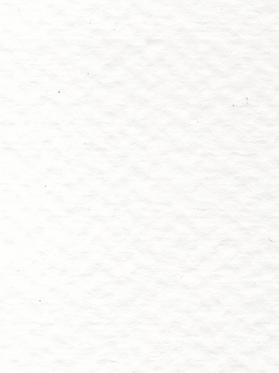 Paper Texture.png