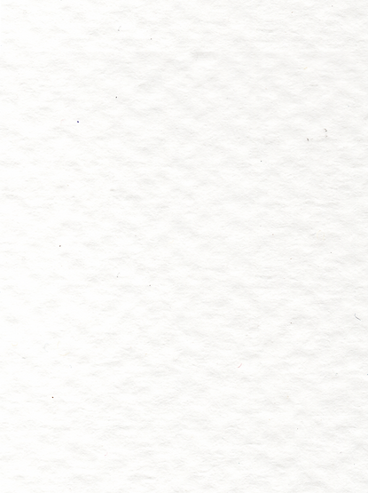 Paper Texture.png