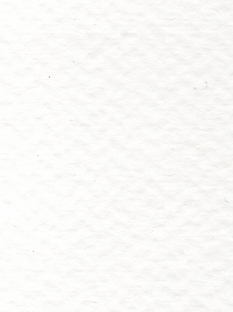 Paper Texture.png