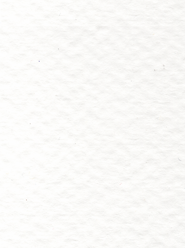 Paper Texture.png