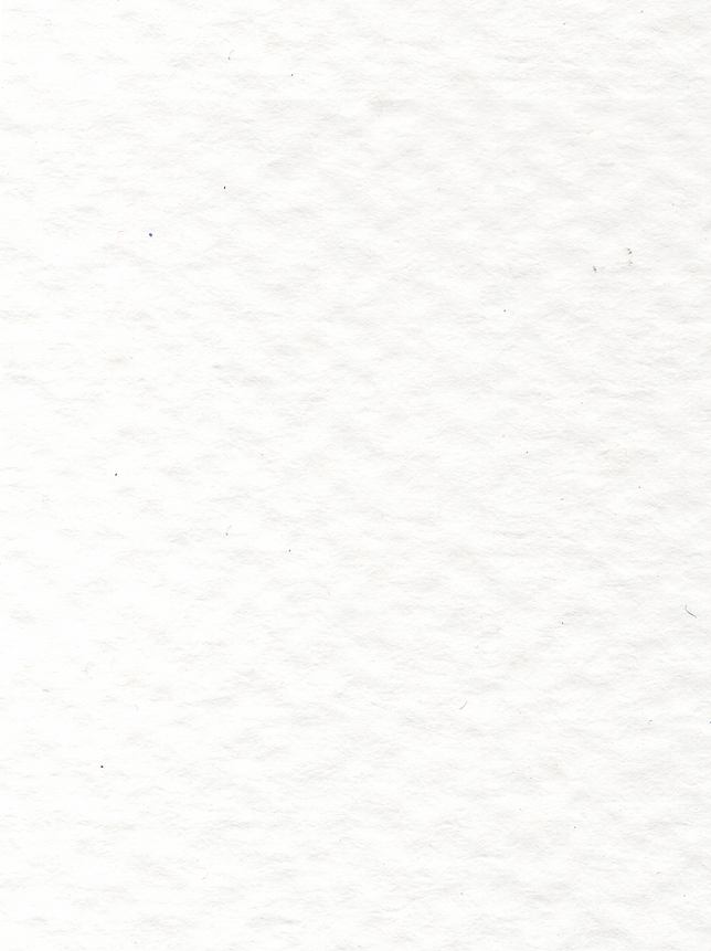 Paper Texture.png