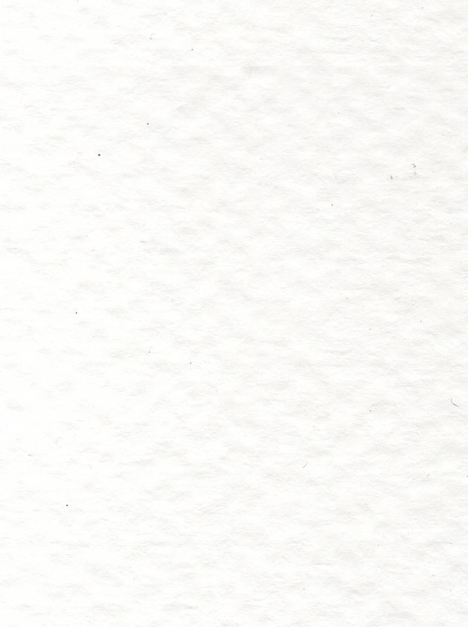 Paper Texture.png