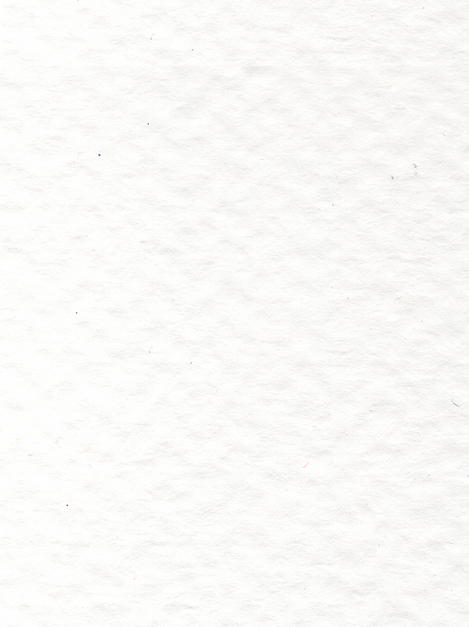 Paper Texture.png