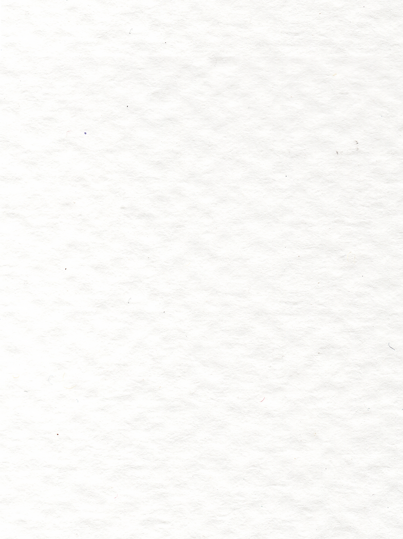 Paper Texture.png