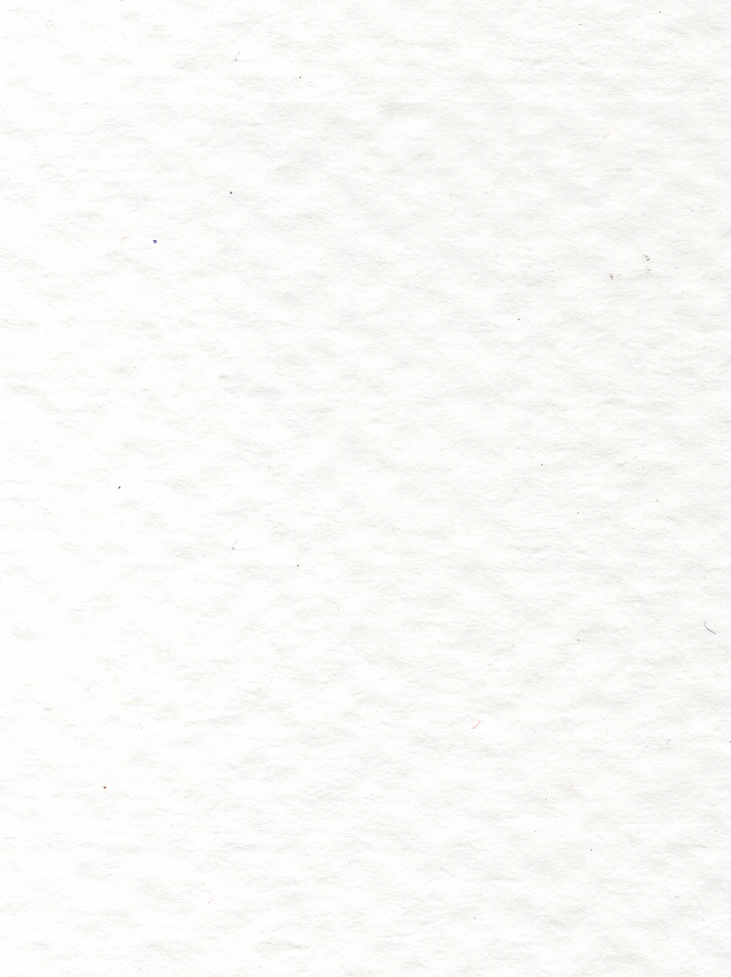 Paper Texture.png