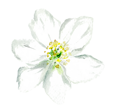 Floral Head_edited.png