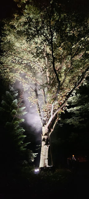 Grote schijn fotoproject