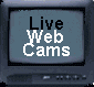 livewebcams.gif