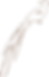 isotipo 4_300x.png