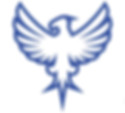 Paramount-Security-Screens-Best-Cheapest-Security-Screens-Phoenix-Sedona.jpg