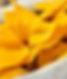 Best Mexican Caterers South Bend.JPG