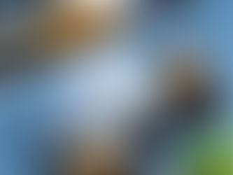 What to Look for in a Website Designer in Michiana - Before You Hire Anyone