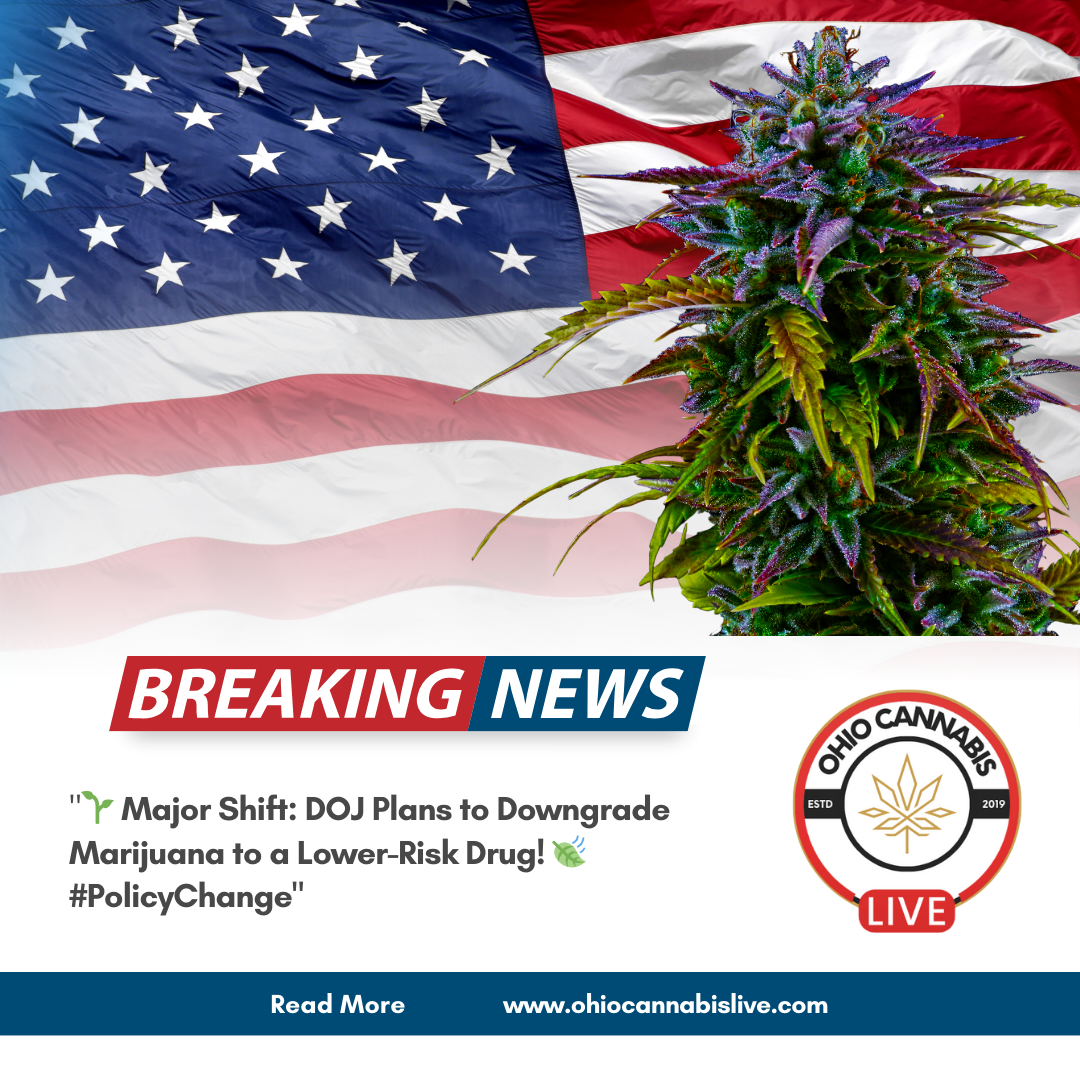 american flag and weed leaf 